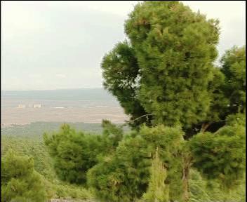 a1_1410.jpg