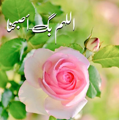 image127550.html
