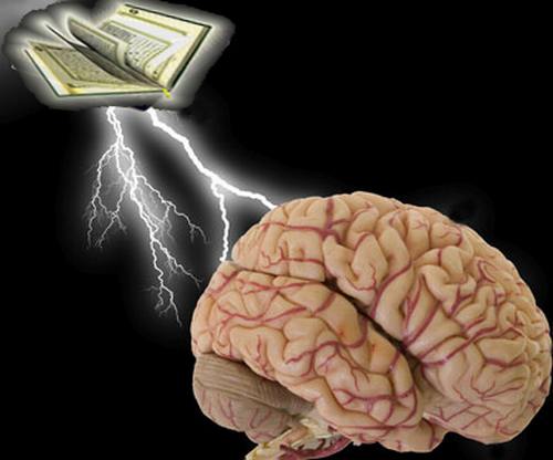 brain-quran1.JPG