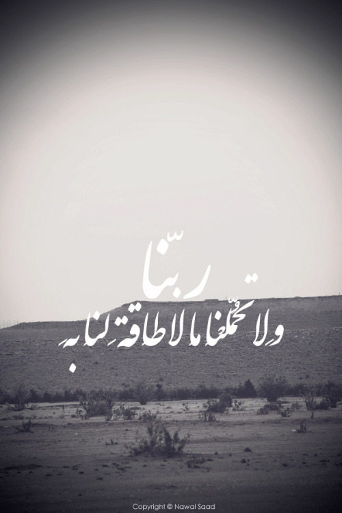 tumblr_mn2aoeHGLt1qcdi6xo1_500.jpg