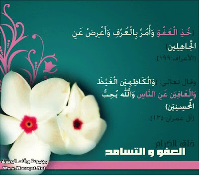 PlR85297.jpg