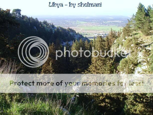 Libyanforest9.jpg