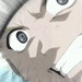 212904skfl1oiers.gif