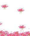 float010.gif
