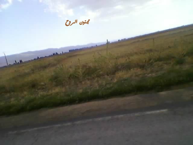 sp_a0210.jpg