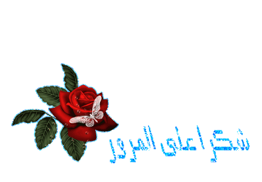 13454633615.gif