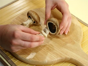FUNGHI-1.jpg