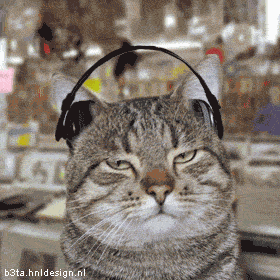 0703110647172192383412.gif