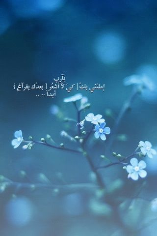 tumblr_ln9j8dWXIC1qe72r2o1_400.jpg