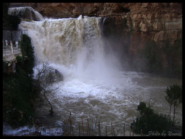 ain-fezza-el-ourit-cascade-algerie-tlemcen.jpg