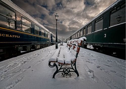 ckfu13714999982.jpg