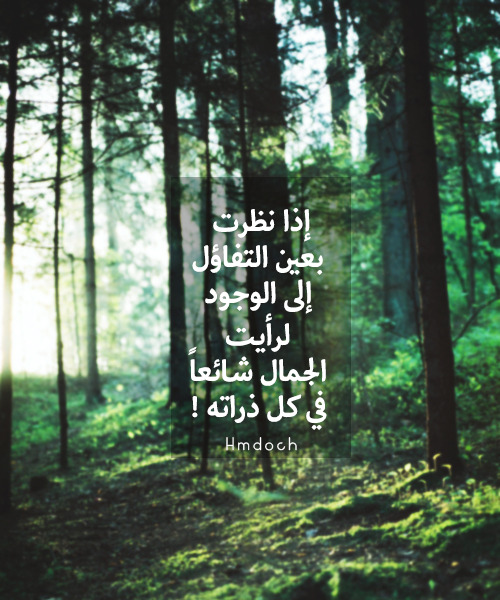 tumblr_mps1msZzB31r5zeqho1_500.png