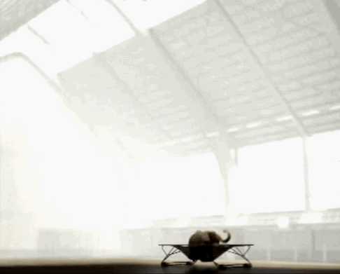 tumblr_lle40l5rH31qewazuo1_500.gif