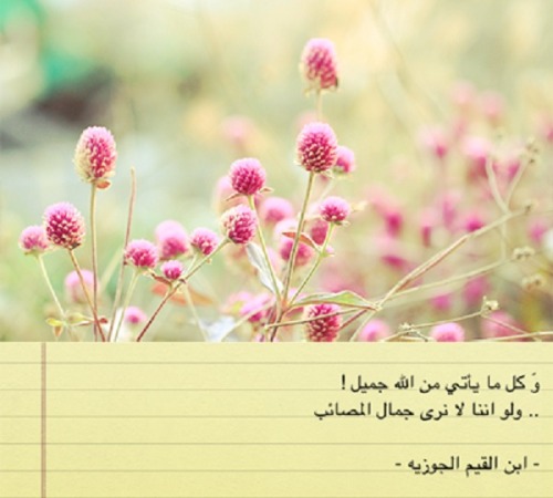 tumblr_lu35e4hpAk1qmykpro1_500.jpg