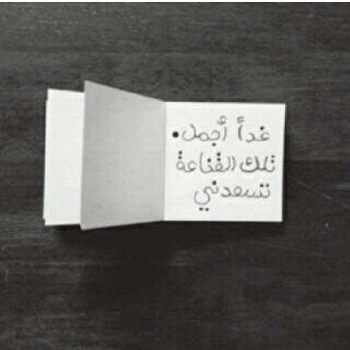 tumblr_n60z9ugbZY1ro763jo1_500.jpg
