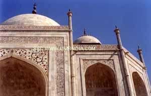 taj-side3.jpg