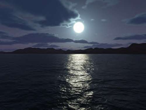 moonlight_230.jpg