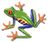 z_Grenouille.gif