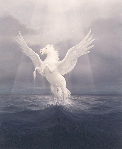 pegaso5-png.jpg