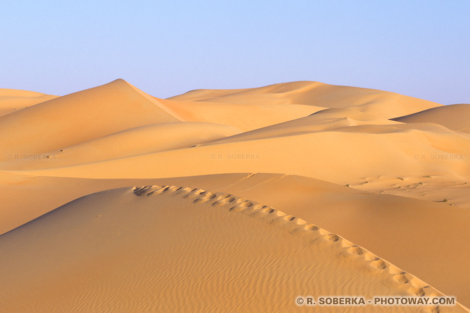 EAU04_371-traces-pas-desert.jpg