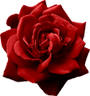 13575653311.gif