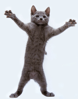 061012115739150004.gif