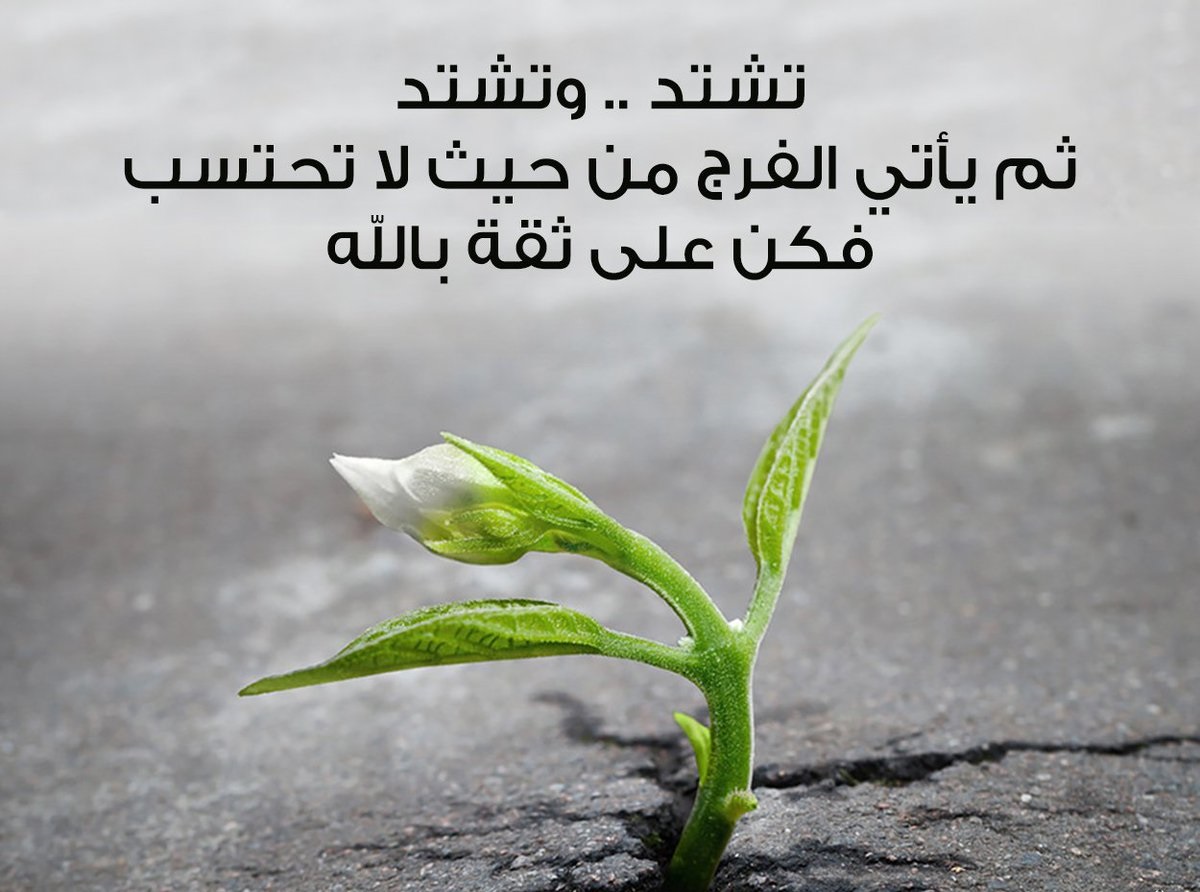 image129152.html