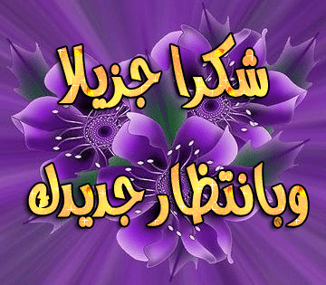 63d94611.gif