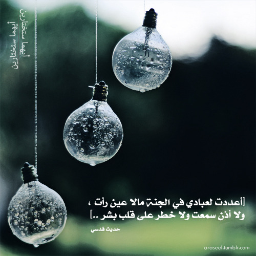tumblr_lt7y5qpxyF1qf81hco1_r2_500.jpg