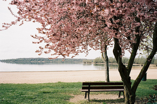 tumblr_lonhr2waR31qitueco1_500.jpg