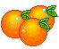 11_205.gif