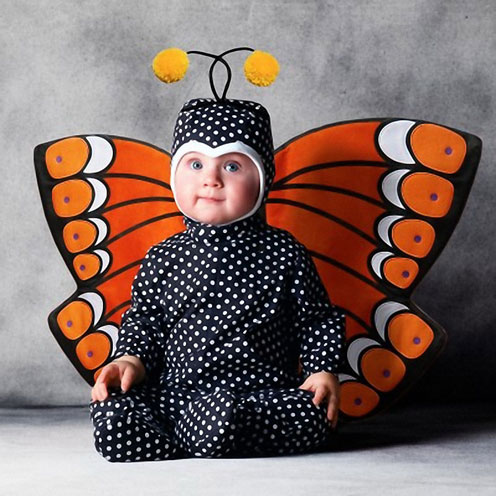 butterfly.jpg