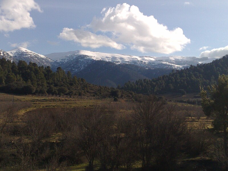 800px-Chelia.jpg