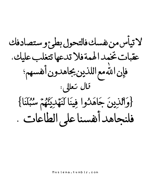 tumblr_mlsbe344Il1qks23ko1_500.png