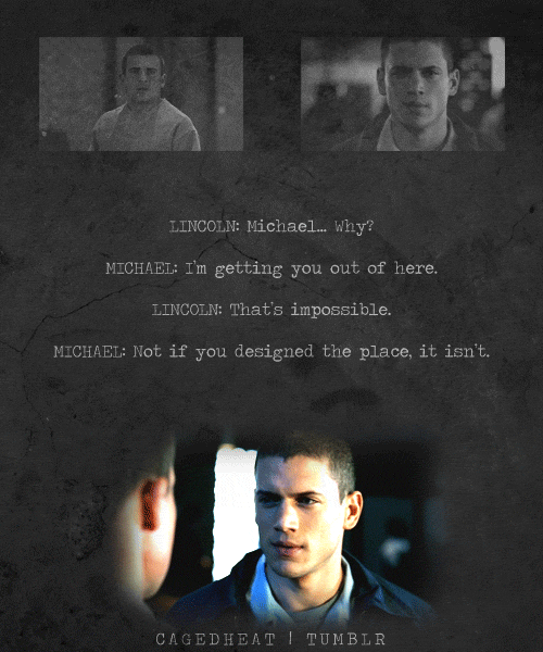 tumblr_lhtyunhqYs1qbmrdko1_500.gif