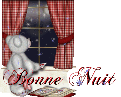 bonnenuit4.gif