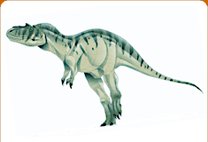 dc_card_gorgo.jpg