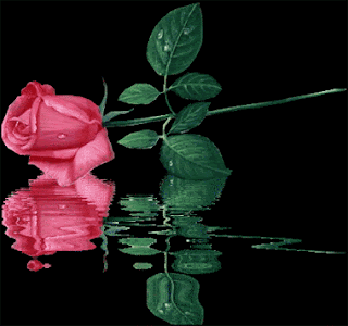 RosesPicture8.gif