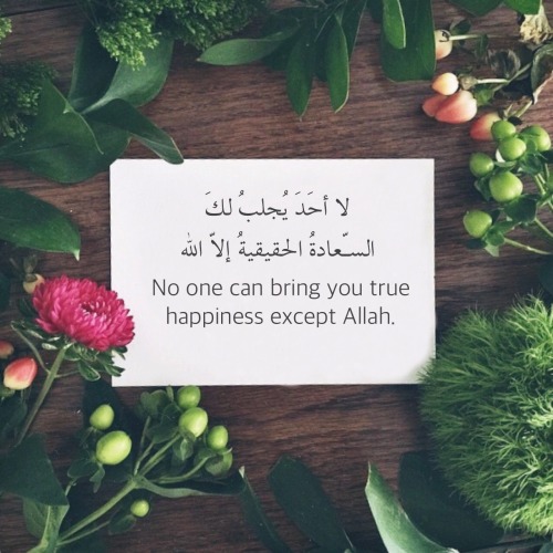tumblr_npcr6e9eR91t03h2co1_500.jpg