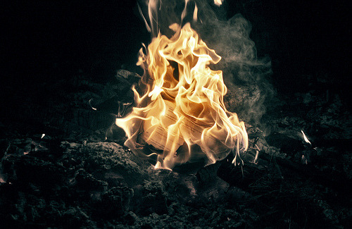 tumblr_m62305DSfK1ros6oso1_500.jpg