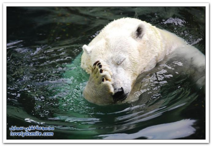 Moments-of-zoo-18.jpg