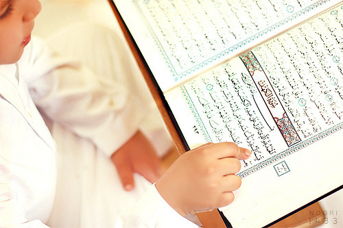 tumblr_m2f4au7PpL1qhzeh0o1_500.jpg