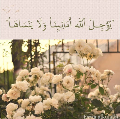 tumblr_lq8mmmV1xY1qcje0zo1_500.jpg