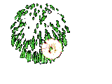 13881044706.gif