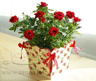 Warda_588.jpg