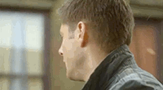 tumblr_lswq0w6epC1r14aq9o1_250.gif