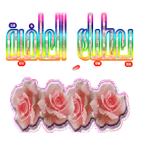 12054.imgcache
