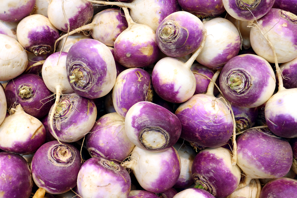 shutterstock_209868403.jpg