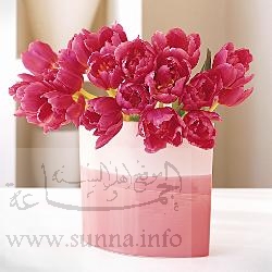 Warda_180.jpg
