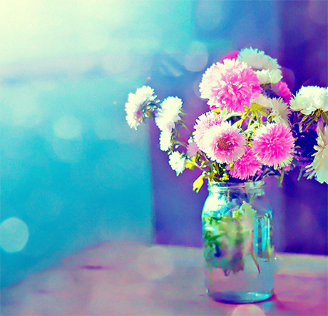 tumblr_lxd58hMRv41qeffwno1_500.jpg